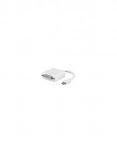 ADATTATORE SPINA MINI DISPLAYPORT>PRESA DVI-D