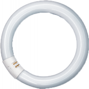 CIRCOLINA 22W 1200LM T9 4000K TRIFOSFORO G10q RADIUM
