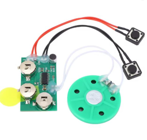 MODULO REGISTRATORE/RIPRODUTTORE AUDIO A BATTERIE FINO A 4 MINUTI (TIPO BIGLIETTO D'AUGURI)