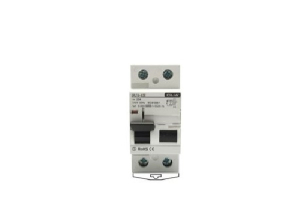 DIFFERENZIALE SALVAVITA INTERRUTTORE MAGNETOTERMICO 2P 240VAC 25A 0,03A CLASSE AC