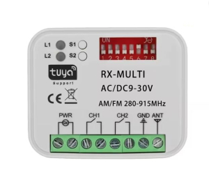 CENTRALINA RICEVENTE PER COMANDI A DISTANZA 2CH 280-915MHZ WIFI 9-30VAC-VDC COMP TUYA ALEXA GOOGLE SMARTLIFE